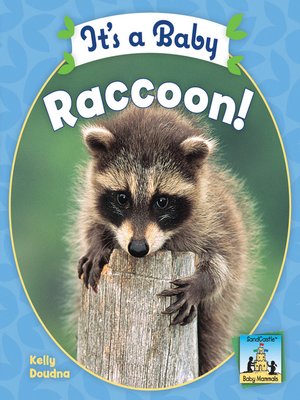 cover image of It's a Baby Raccoon